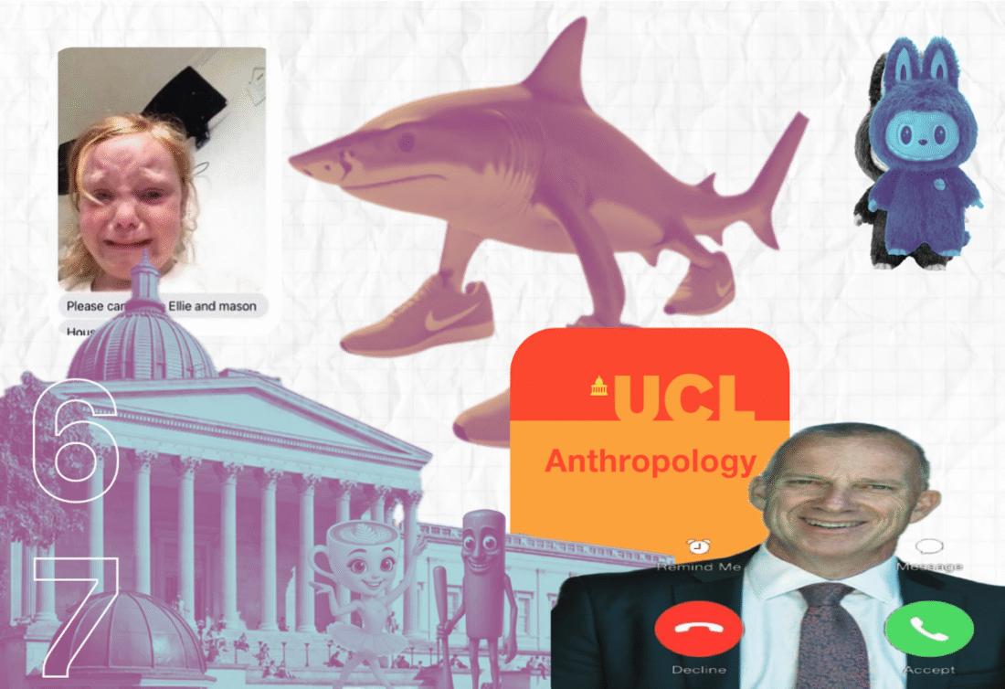 UCL Anthropology to offer 'Brainrot Studies' module in bid to stay relevant